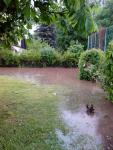 IMG_20130526_163741.jpg