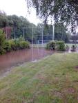 IMG_20130526_164227.jpg